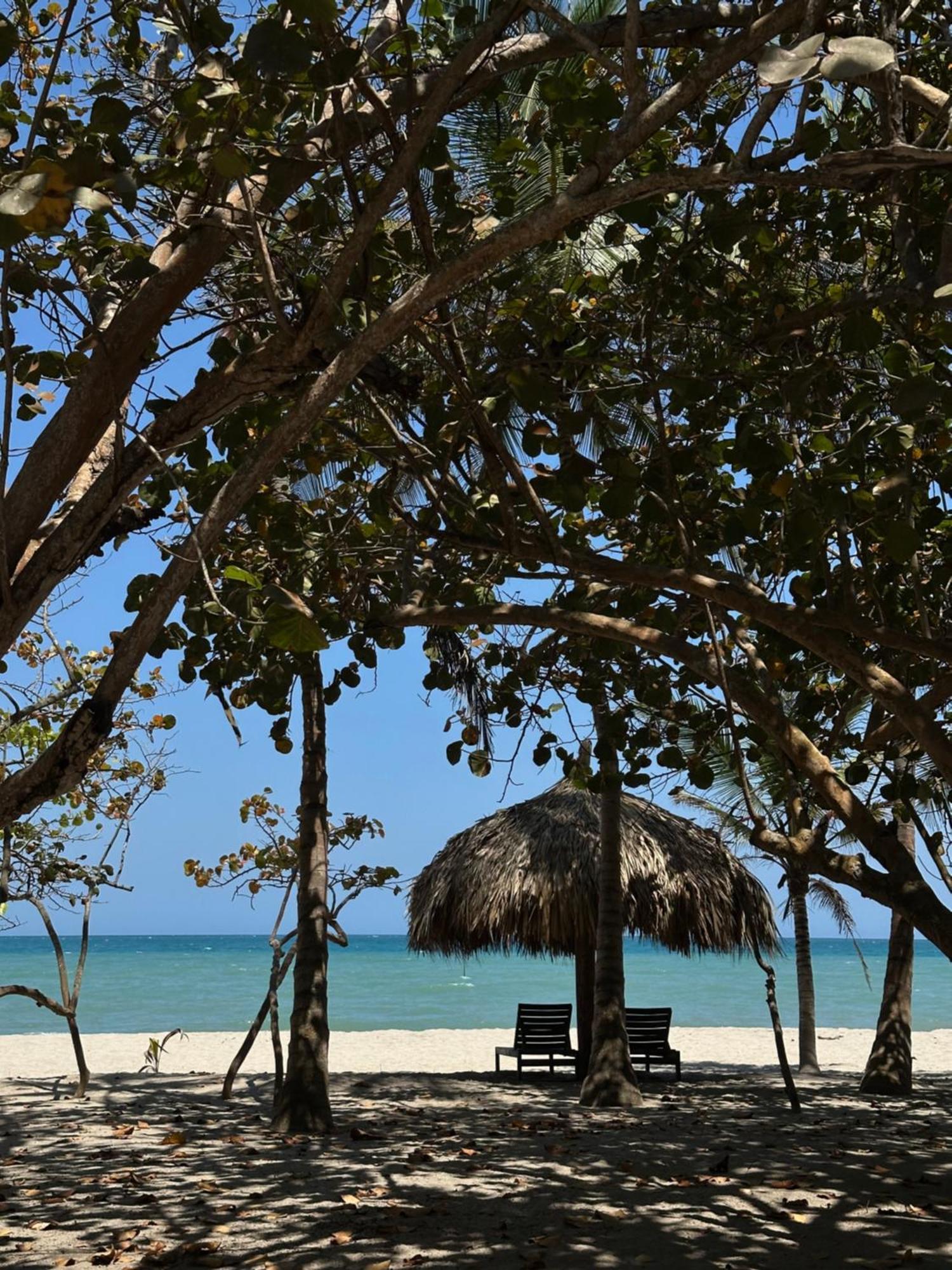 Hotel Casalina Palomino Exterior photo